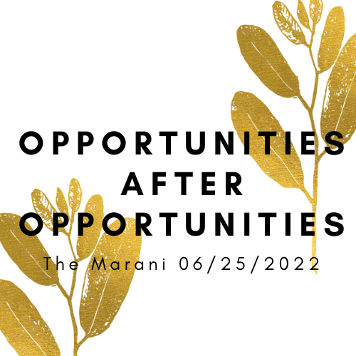 Opportunities after opportunities